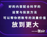 张sir账号流量增长课，告别海王流量，让你的流量更精准-逐风项目库