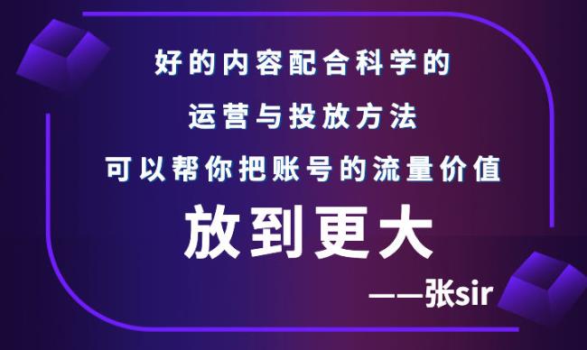张sir账号流量增长课，告别海王流量，让你的流量更精准-逐风项目库