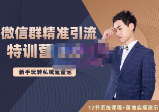 陆明明·微信群精准引流特训营3.0，借助微信群进行引流操作，打造私域流量池-逐风项目库