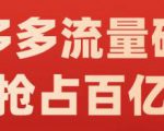 阿杰·拼多多流量破局:如何打黑标，爆款的思路，拼多多流量框架，快速抢占百亿流量-逐风项目库