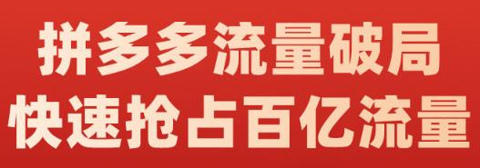 阿杰·拼多多流量破局:如何打黑标，爆款的思路，拼多多流量框架，快速抢占百亿流量-逐风项目库
