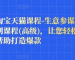 樊剑淘宝天猫课程-生意参谋数据分析系列课程(高级)，让您轻松运营店铺，帮助打造爆款-逐风项目库