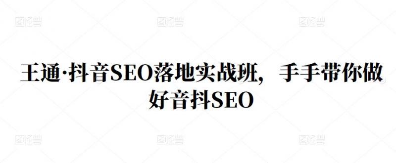 王通·抖音SEO落地实战班，手‬手带你做好音抖‬‬SEO-逐风项目库