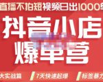 推易电商·2022年抖音小店爆单营，不直播、不拍短视频、日出1000单，暴力玩法-逐风项目库