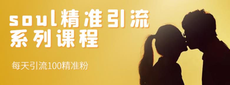 soul精准引流系列课程，每天引流100精准粉-逐风项目库