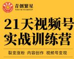 张萌21天视频号实战训练营，裂变涨粉、内容创作、视频号变现 价值298元-逐风项目库