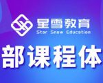 星雪教育淘系高级班，更全的运营提升方案，零基础由浅入深，店铺最新玩法-逐风项目库