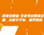 凯哥自媒体·百家号自媒体全套实战赚钱教程，从新手开始，循序渐进，系统的讲解-逐风项目库