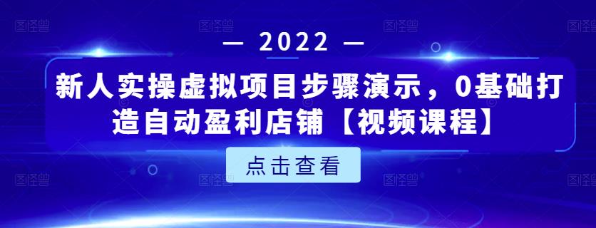 新人实操虚拟项目步骤演示，0基础打造自动盈利店铺【视频课程】-逐风项目库