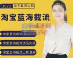 2022淘宝蓝海截流攻略，淘宝蓝海截流选品上货实操讲解-逐风项目库