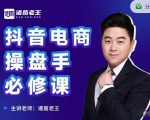 诸葛老王-抖音电商操盘手必修课：顶层设计，​起号破局，爆款运营，数据分析-逐风项目库