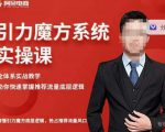 阿呆-引力魔方系统实操课，全体系实战教学，助你快速掌握推荐流量底层逻辑-逐风项目库