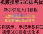 宋老师·短视频搜索SEO优化，教你10分钟创作一个短视频，三天排名上第一-逐风项目库