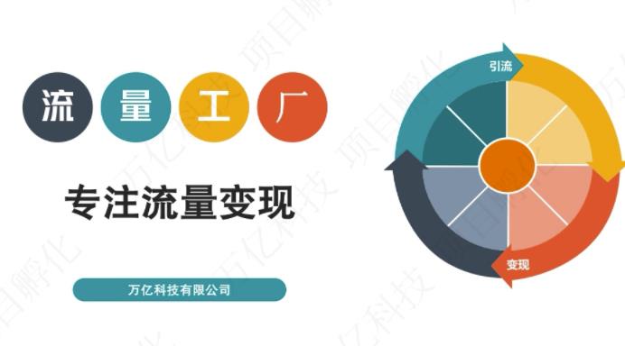 收费3980的流量工厂回粉项目，号称1个粉10元【详细玩法教程解析】-逐风项目库