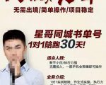 星哥同城教育书单号课程，无需出境简单操作项目稳定-逐风项目库