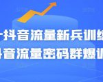 Peter抖音流量新兵训练营-破解抖音流量密码群爆训练营（新兵）-逐风项目库