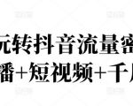 2022玩转抖音流量密码，(直播+短视频+千川)-逐风项目库