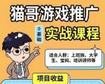 猫哥·游戏推广实战课程，单视频收益达6位数，从0到1成为优质游戏达人-逐风项目库