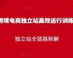 跨境电商独立站高效运行训练营，独立站全链路拆解-逐风项目库