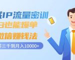 私域IP流量密训：小白也能爆单的微信赚钱法，从月薪三千到月入10000+-逐风项目库