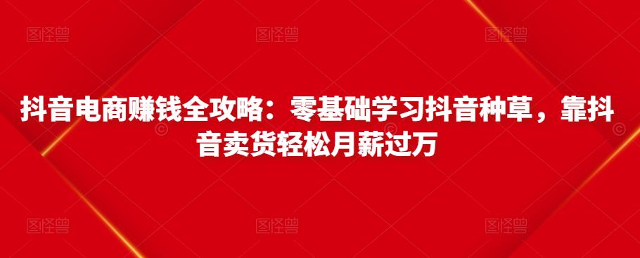 抖音电商赚钱全攻略：零基础学习抖音种草，靠抖音卖货轻松月薪过万-逐风项目库
