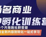 杨名商业IP孵化训练营，从商业到内容到转化一站式学 价值5980元-逐风项目库