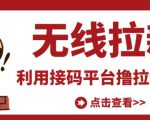 最新接码无限拉新项目，利用接码平台赚拉新平台差价，轻松日赚500+-逐风项目库