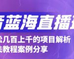 抖音最新蓝海直播玩法，3分钟赚30元，一天轻松1000+，只要你去直播就行【详细玩法教程】-逐风项目库