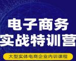 民赛电气内部出品：电子商务实战特训营，全方位带你入门电商，308种方式玩转电商-逐风项目库