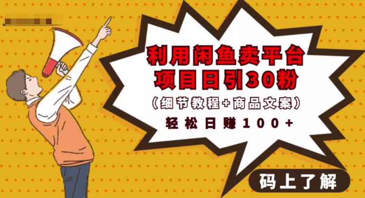 利用闲鱼卖平台项目课程资源日引流30+精准粉丝，轻松日赚100+，积累人脉可实现二次变-逐风项目库