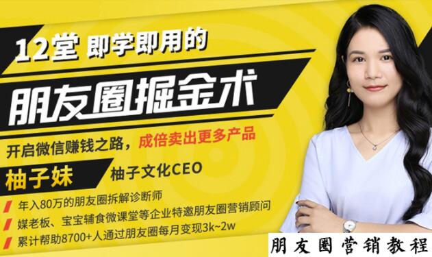 【营销必学】12堂学之即用的朋友圈掘金术：开启你的副业赚钱之路-逐风项目库