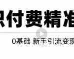 玩转知识付费项目精准引流，给你1套课多账号操作落地方案！-逐风项目库