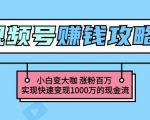 玩转微信视频号赚钱：小白变大咖涨粉百万实现快速变现1000万的现金流-逐风项目库