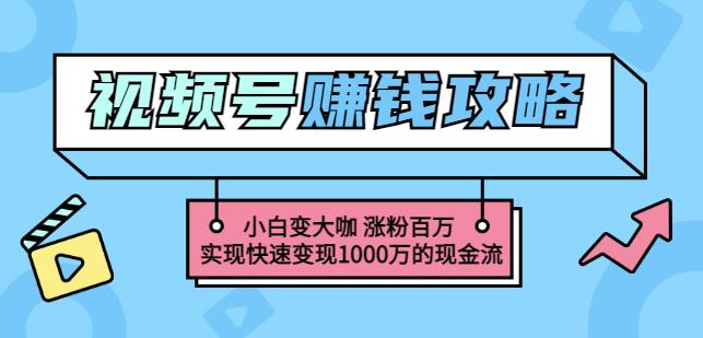 玩转微信视频号赚钱：小白变大咖涨粉百万实现快速变现1000万的现金流-逐风项目库