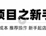 虚拟项目快速起店模式，0成本打造月入几万虚拟店铺！-逐风项目库