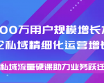 8000万用户规模增长方法论私域精细化运营增长，私域流量硬课助力业务跃迁-逐风项目库