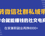 玩转微信社群私域带货，学会就能赚钱的社交电商，在家兼职副业再挣8000+-逐风项目库
