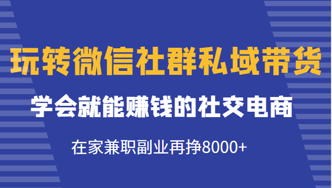 玩转微信社群私域带货，学会就能赚钱的社交电商，在家兼职副业再挣8000+-逐风项目库