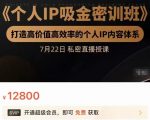 个人IP吸金密训班，打造高价值高效率的个人IP内容体系（价值12800元）-逐风项目库