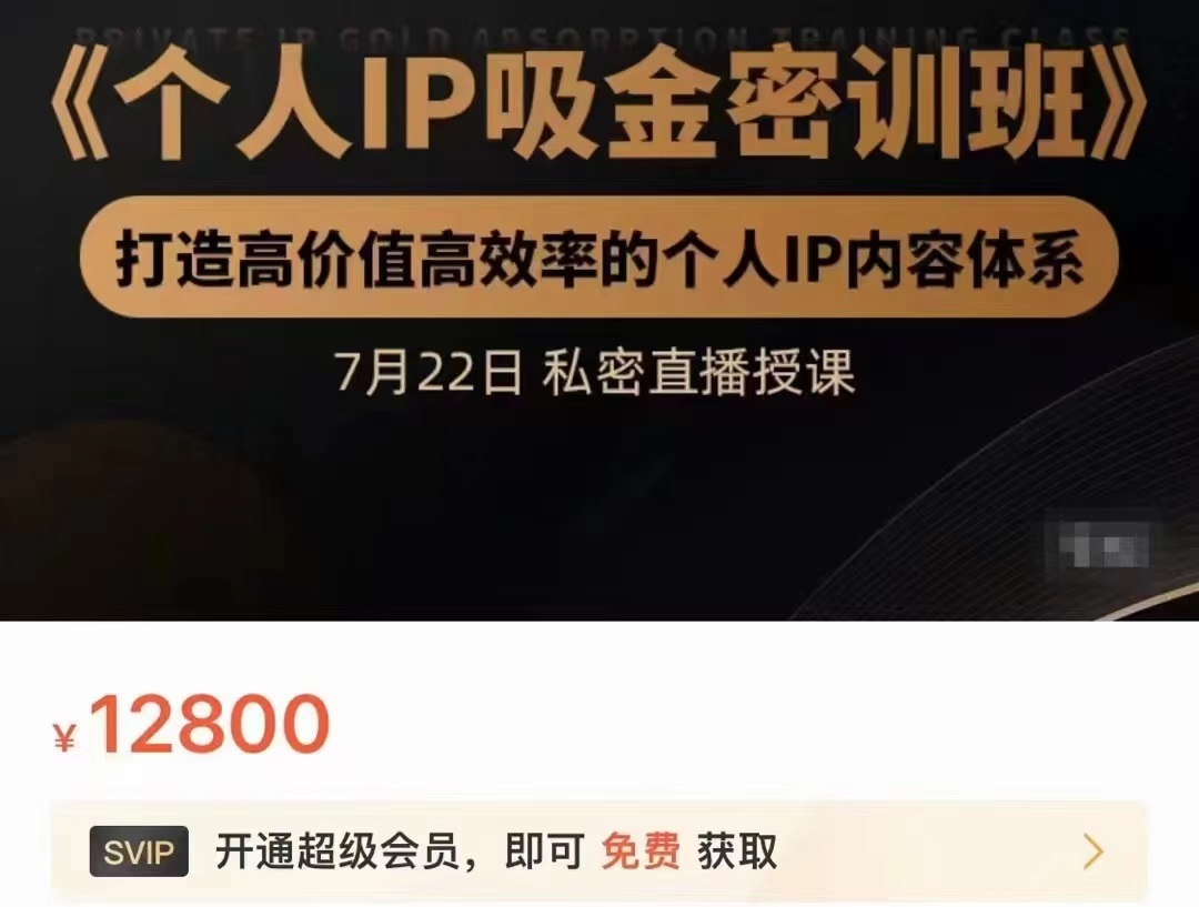 个人IP吸金密训班，打造高价值高效率的个人IP内容体系（价值12800元）-逐风项目库