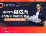 0粉0作品自然流正价起号及稳号全教程，专业自然流起号机构流程化教学（价值2980元）-逐风项目库