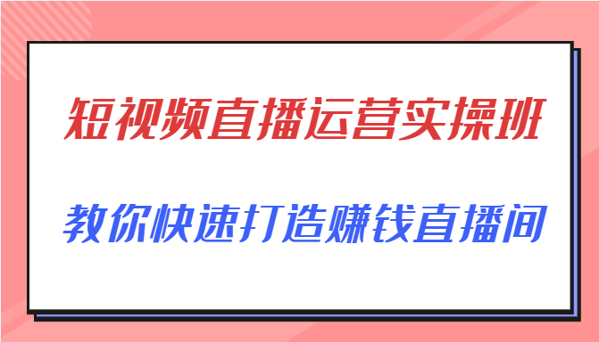 短视频直播运营实操班，直播带货精细化运营实操，教你快速打造赚钱直播间-逐风项目库