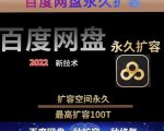 百度网盘无限扩容技术，外面卖399的，无论自己用还是用做引流都可以-逐风项目库