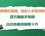 搞笑聊天账号，轻松入手高效变现，百万操盘手亲授，小白也能涨粉数十万-逐风项目库