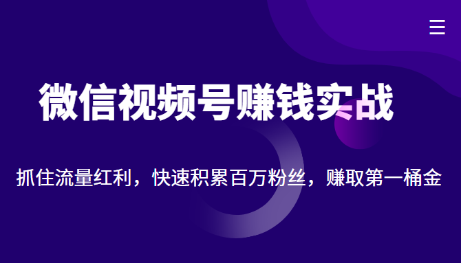 微信视频号赚钱实战：抓住流量红利，快速积累百万粉丝，赚取你的第一桶金-逐风项目库