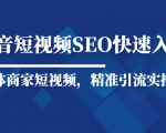 抖音短视频Seo搜索排名优化新手快速入门教程，实体商家短视频，精准引流实操课-逐风项目库