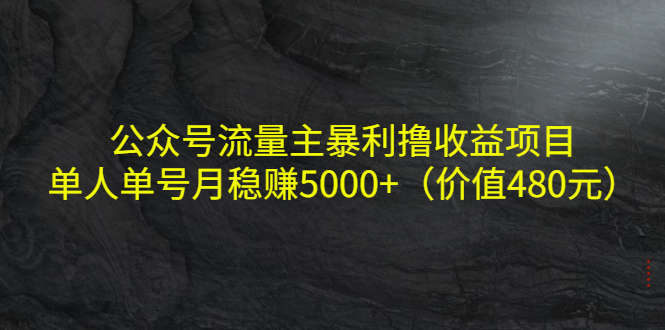 公众号流量主暴利撸收益项目，单人单号月稳赚5000+（价值480元）-逐风项目库