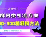 价值888的QQ群另类引流方案，半自动操作日200~300精准粉方法【视频教程】-逐风项目库