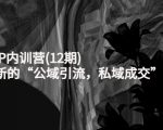 新媒体IP内训营(12期)，一套全新的“公域引流，私域成交”IP打法，直接带走-逐风项目库
