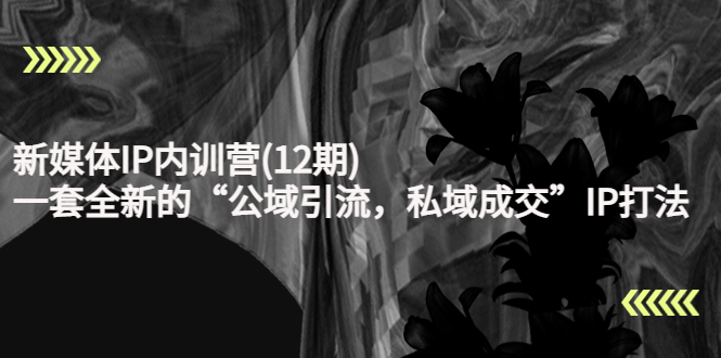 新媒体IP内训营(12期)，一套全新的“公域引流，私域成交”IP打法，直接带走-逐风项目库